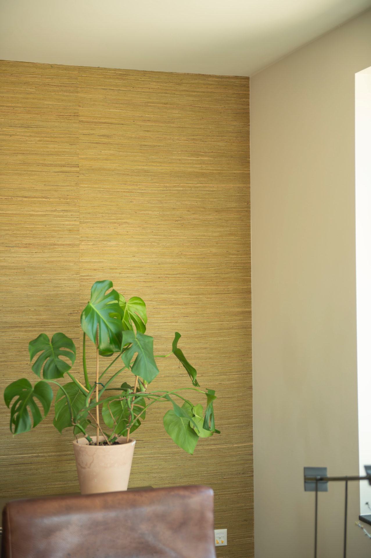 Wand met okerkleurig grasbehang naast een monstera-plant